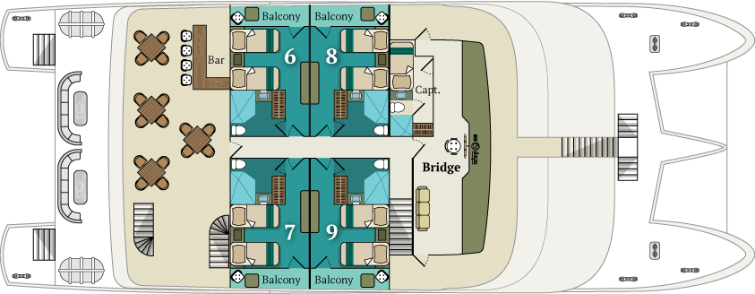 Galapagos Paradise Dreams