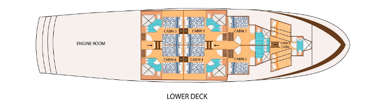 Galapagos Paradise Dreams - Elite