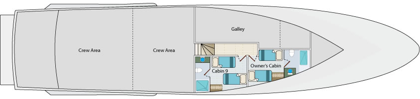 Galapagos Paradise Dreams