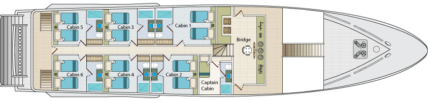 Galapagos Paradise Dreams