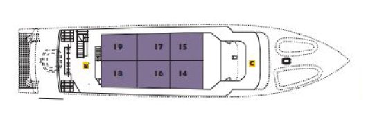 Galapagos Paradise Dreams