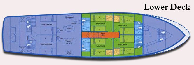 Galapagos Paradise Dreams