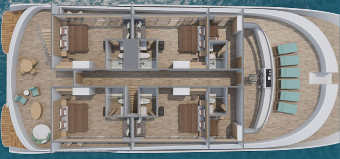 Galapagos Paradise Dreams - Endemic