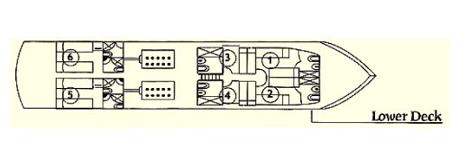 Galapagos Paradise Dreams