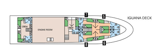 Galapagos Paradise Dreams