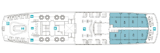 Galapagos Paradise Dreams