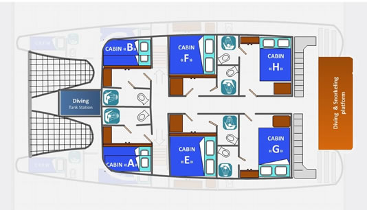 Galapagos Paradise Dreams