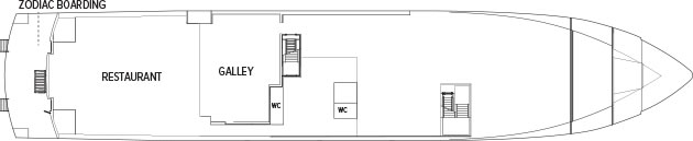 Galapagos Paradise Dreams