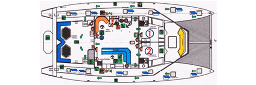 Galapagos Paradise Dreams