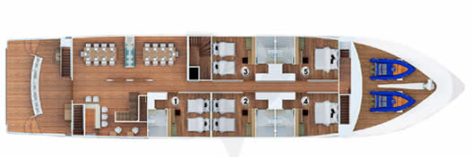 Galapagos Paradise Dreams