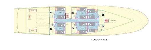 Galapagos Paradise Dreams